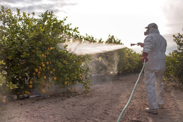 Best Termite Control Services  in White Bluff, TN