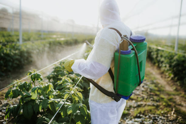 Best Emergency Pest Control  in White Bluff, TN
